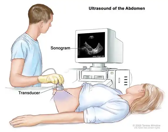 Ultrasound Terese Winslow