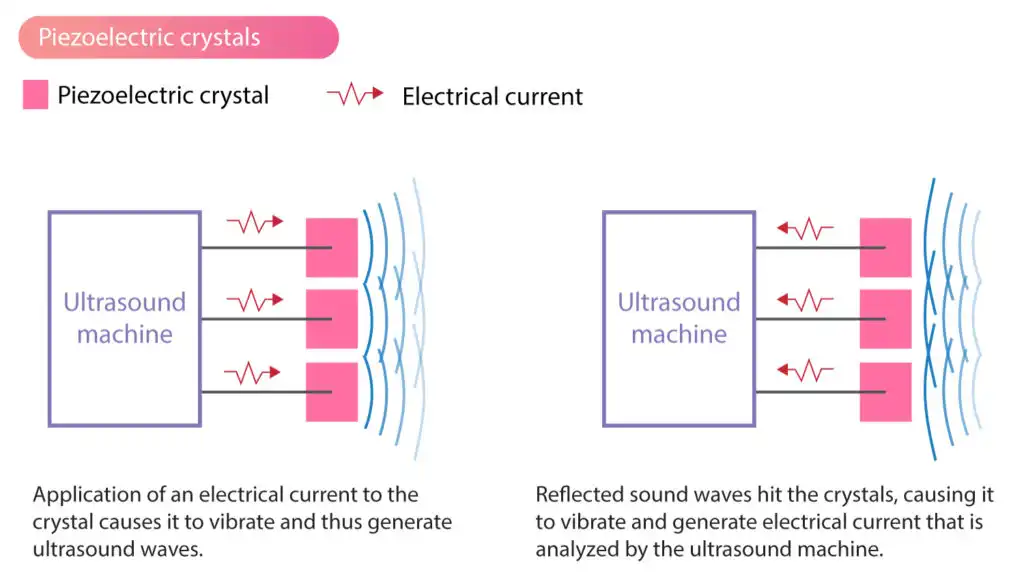 ultrasound-transducer-piezoelectric-crystals-effect